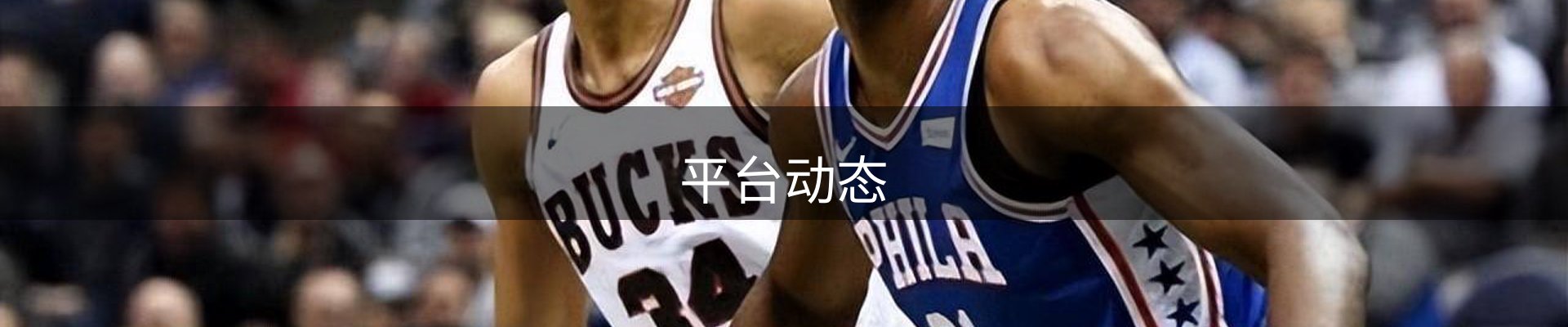 平台动态