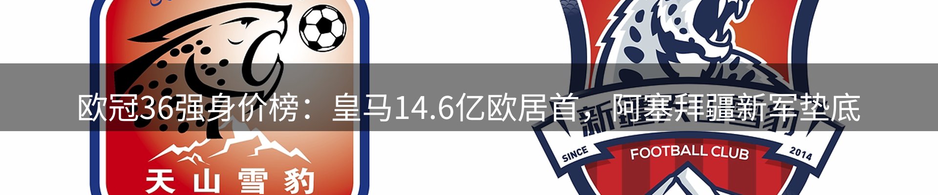 平台动态